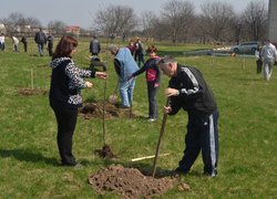Actions “Clean Environment” and “Plant a Tree”